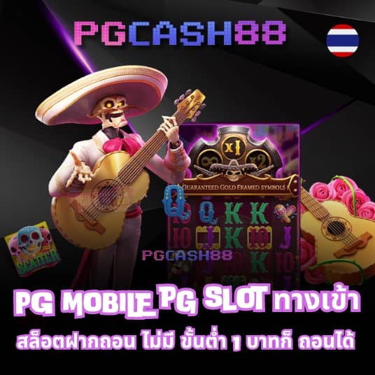 imi555